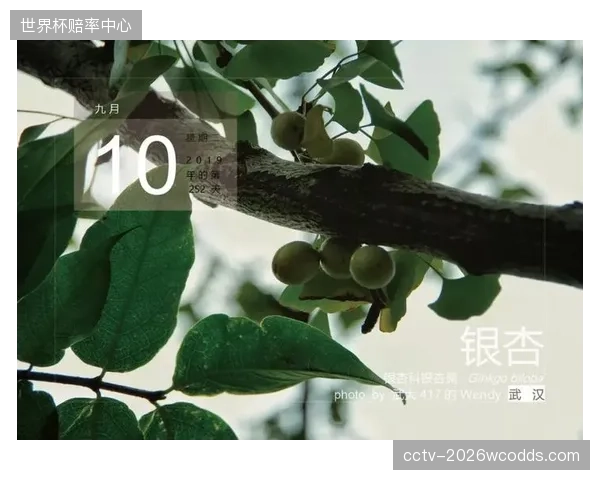 强行贴在草皮上的虚拟赞助商商标是否已经严重干扰视线